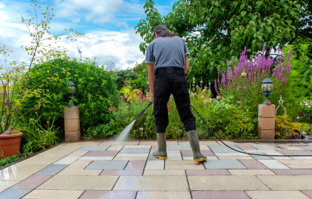 Professional Pressure Washing in Williamsport, MD
